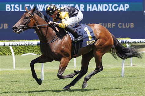tibbie stakes|Tibbie Stakes race results, winners and past history .